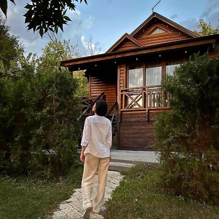 Poiana Bradului Complex Hotelier & Restaurant Colonita 외부 사진